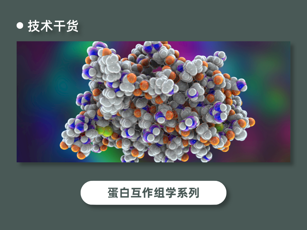 IP-MS蛋白互作组学解决方案