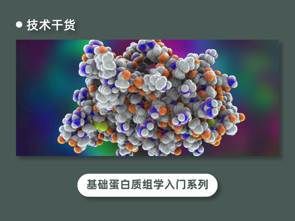 蛋白质组学基础入门系列丨（六）蛋白质组学质谱检测环节